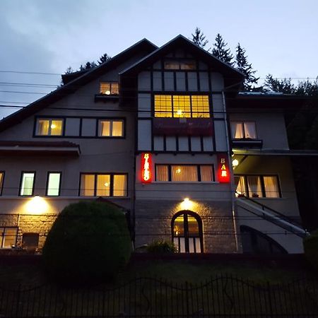 Vila Gabriel ซินายา ภายนอก รูปภาพ