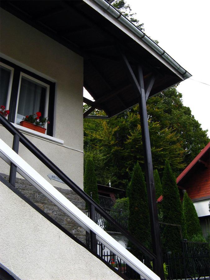 Vila Gabriel ซินายา ภายนอก รูปภาพ